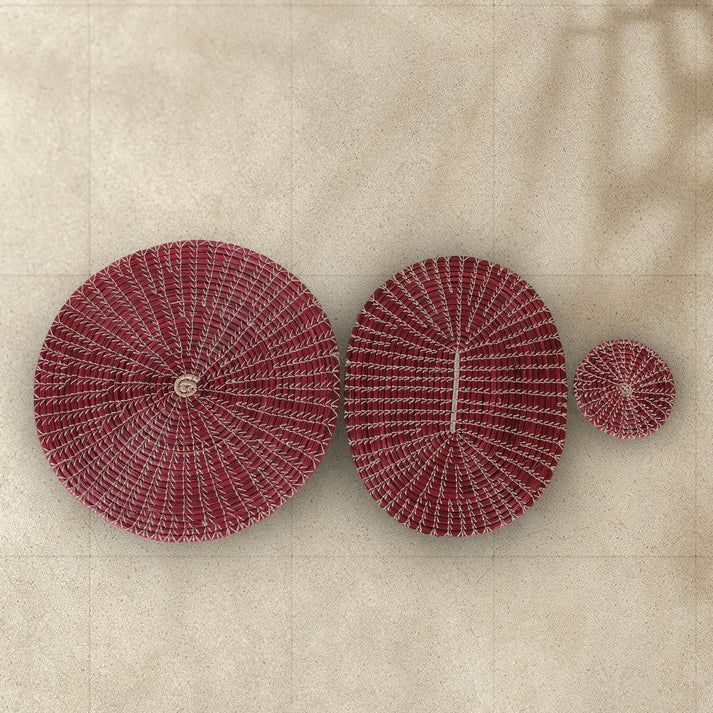 Eco-Friendly 12-Inch Table Mats Set of 2